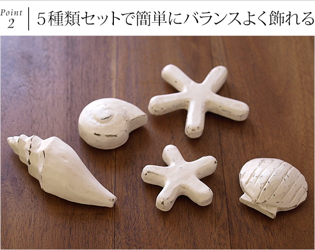 マグネット(シェル&スター)5種類セット 貝(3種類),ヒトデ(2サイズ マグネット(シェル&スター)5種類セット 貝(3種類),ヒトデ(2サイズ
