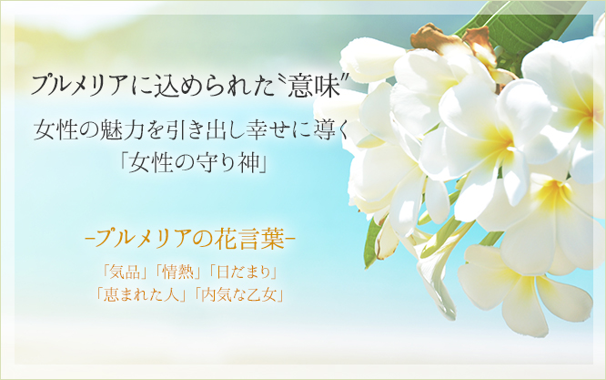 プルメリア　花言葉
