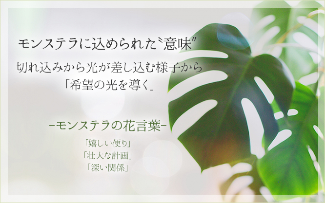 モンステラ　花言葉