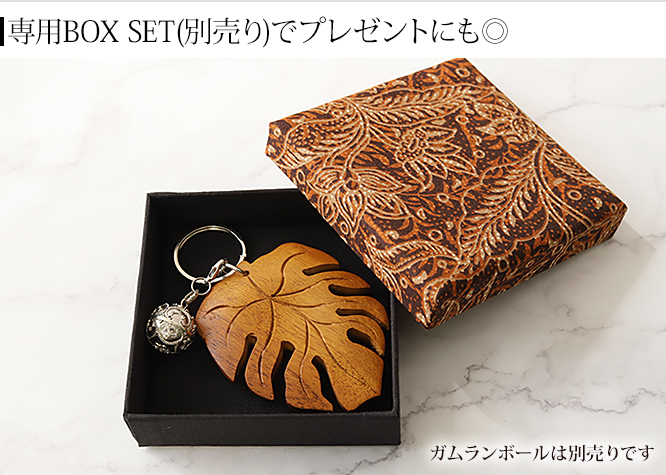 モンステラ　贈り物　ギフト
