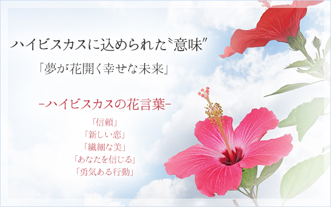 木製キーリング(ハイビスカス) ※カニカン付き ハイビスカス