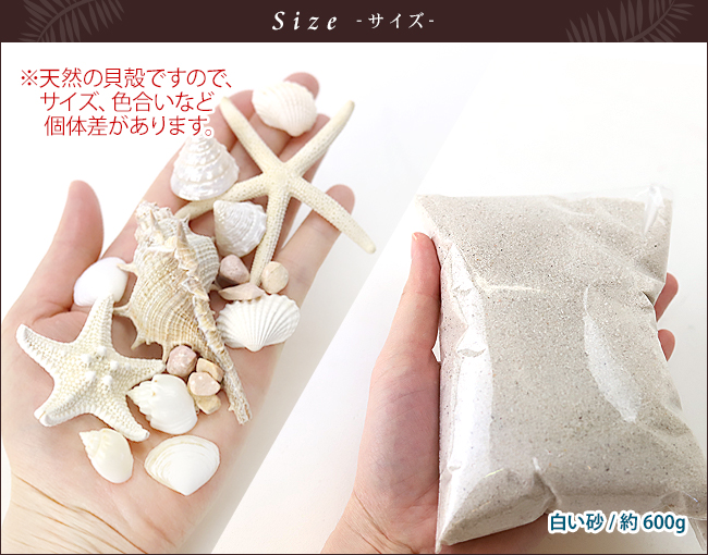 サイズイメージ