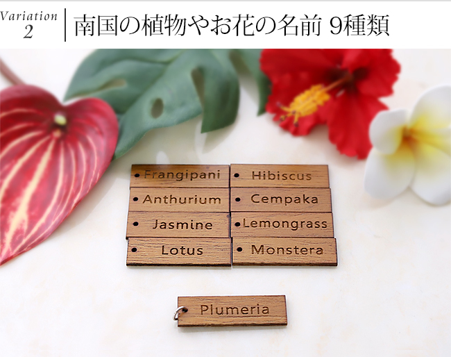 南国のお花　プレート