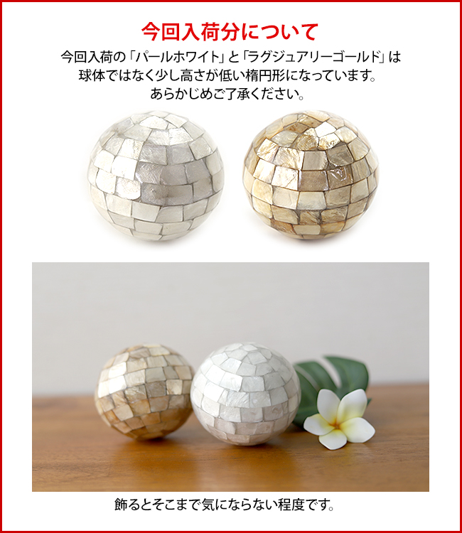 今回入荷