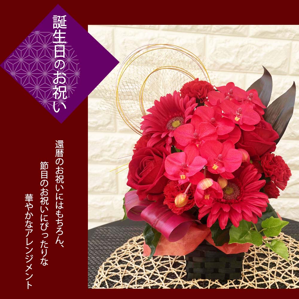 還暦祝い 胡蝶蘭 アレンジメント 光触媒 赤い花 プレゼント 長寿祝い