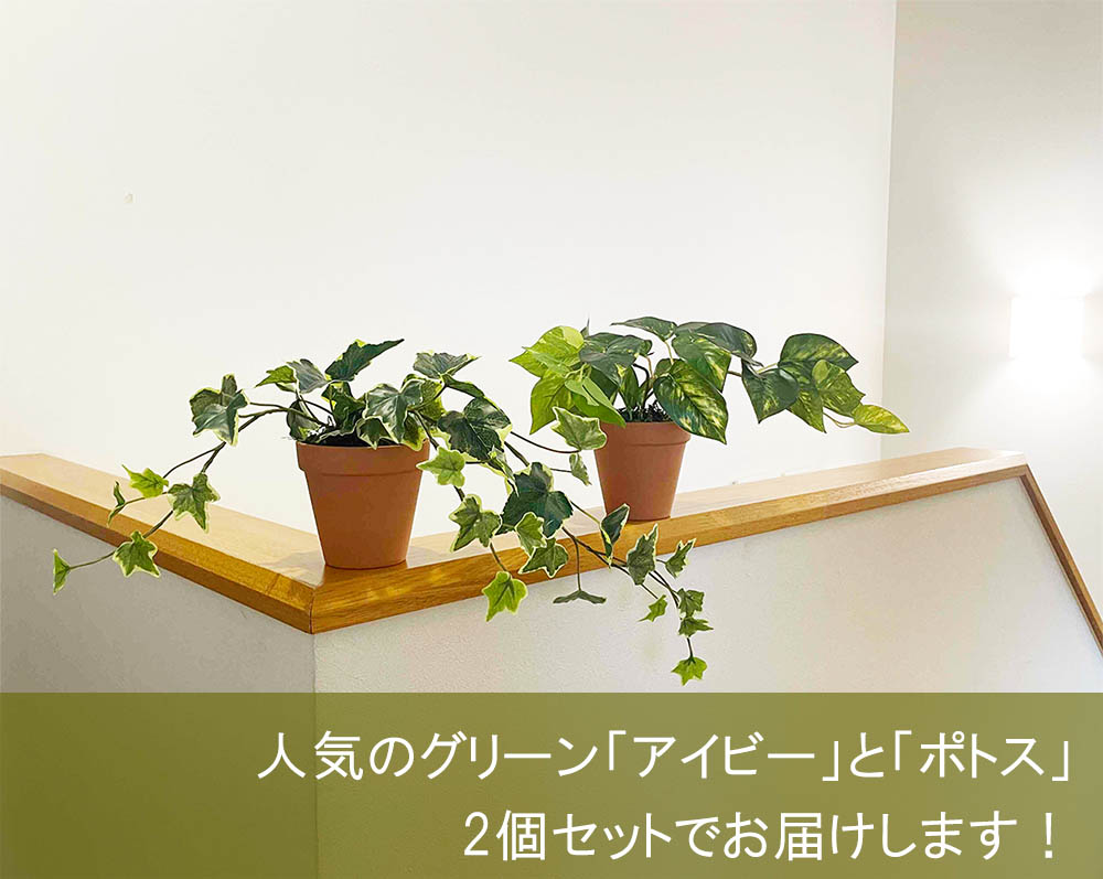 光触媒 フェイクグリーン 2個セット アイビー＆ポトス 観葉植物