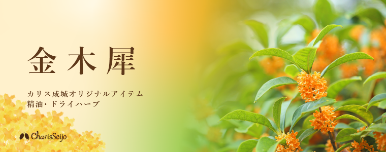 カリス成城 ここちeくらしshop - Yahoo!ショッピング