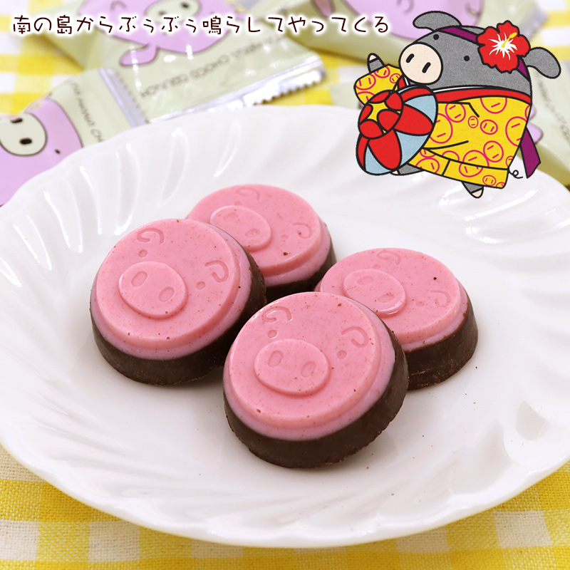 琉球あぶー ブタ鼻のチョコクランチ 10個入×5箱 /沖縄お土産 お菓子