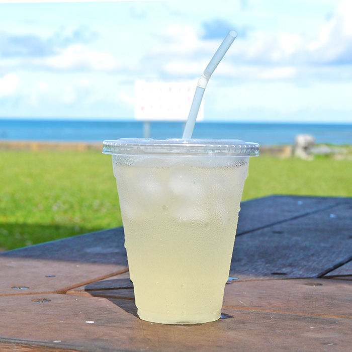 Bireley's 沖縄バヤリース 島レモネード 果汁10％未満 500ml×24本