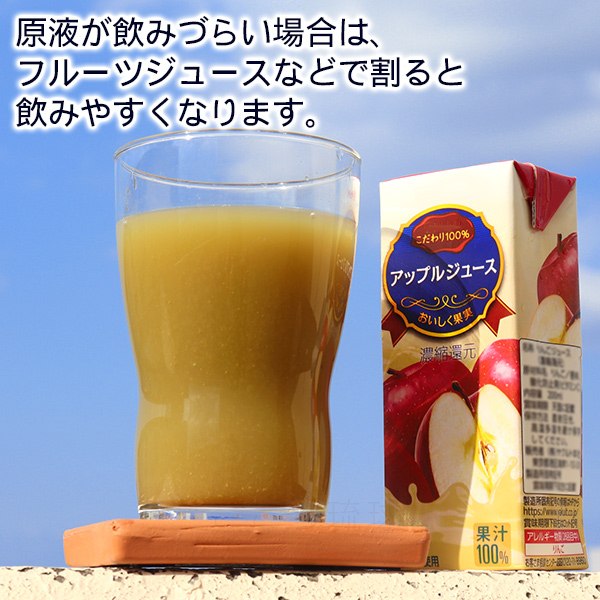 ゴーヤー原液 シークワーサー果汁入り 500ml×12本　/沖縄産 ゴーヤジュース 野菜ジュース｜cocochir｜04