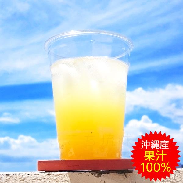 シークワーサー 原液 果汁100％ 500ml×2本　/JAおきなわ 青切りシークヮーサー ジュース ノビレチン （小宅）｜cocochir｜02