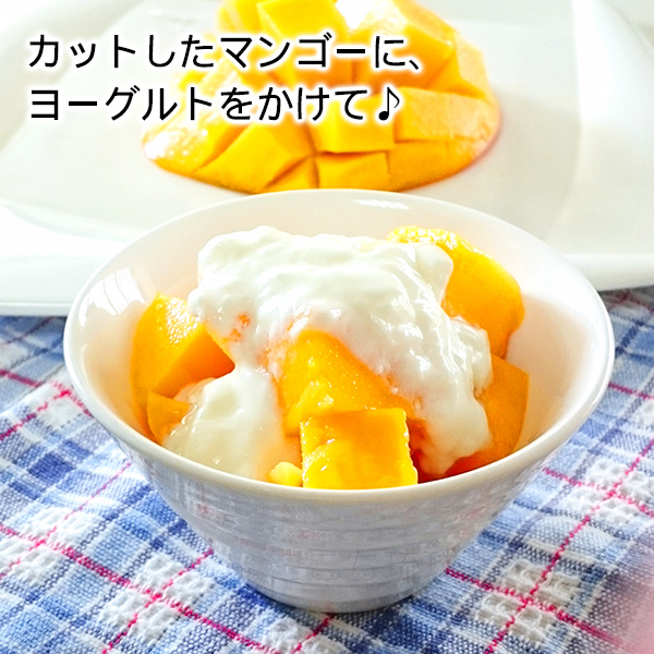 沖縄産マンゴー 1.5kg（4〜7玉） 白箱 /アップルマンゴー 冷蔵 : 沖縄