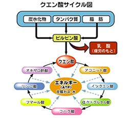 黒麹もろみ酢 無糖 720ml　/沖縄産 北琉 |  | 01