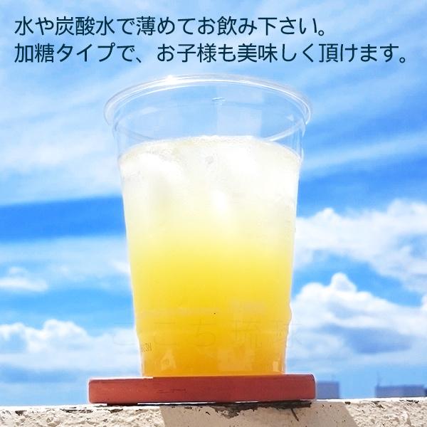 沖縄シークワーサー 500ml×2本（希釈 加糖タイプ）　/オキハム シークワーサージュース（小宅）｜cocochir｜02