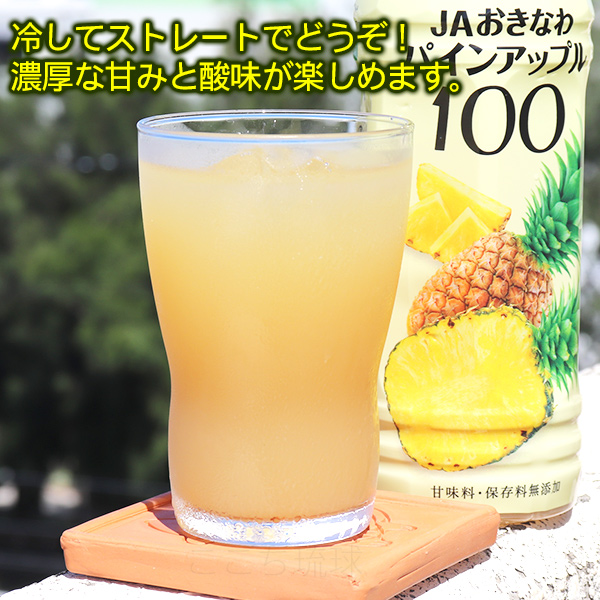 パインアップル100　500ml×6本　 /沖縄産 パインジュース 果汁100％ JAおきなわ