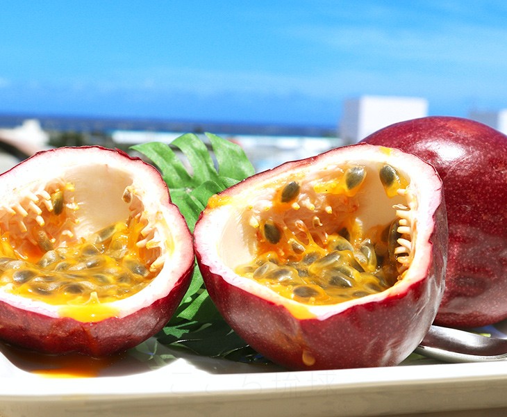 パッションフルーツ 約2kg（20〜30玉） /沖縄産 ご自宅用の説明 - 通販