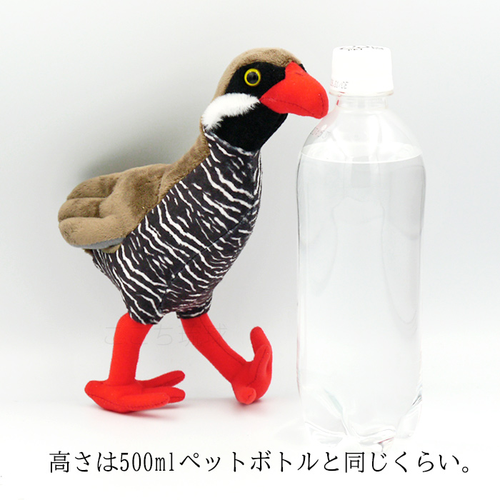 マシュマロマスコット ヤンバルクイナ（207-727） /ぬいぐるみ 沖縄お