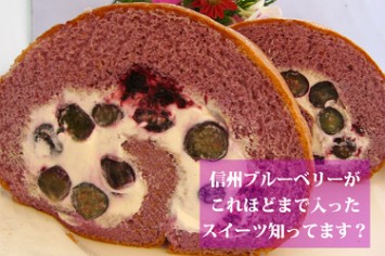 国産ブルーベリー