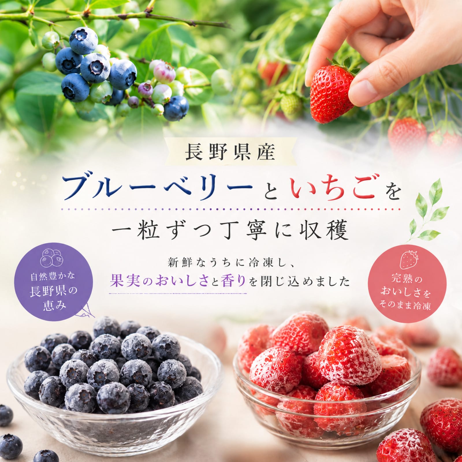 わらいみらい ブルーベリー いちご ストロベリー 冷凍 国産 フルーツ
