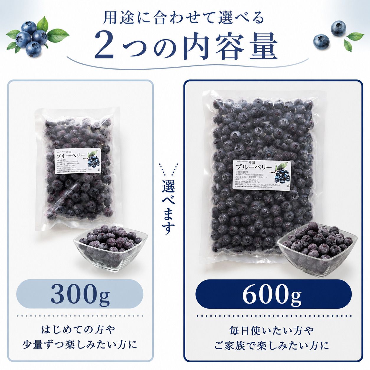ブルーベリー 加工用