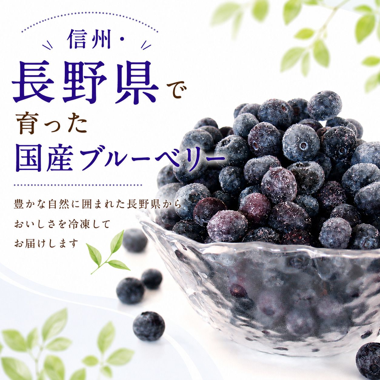 長野 ブルーベリー