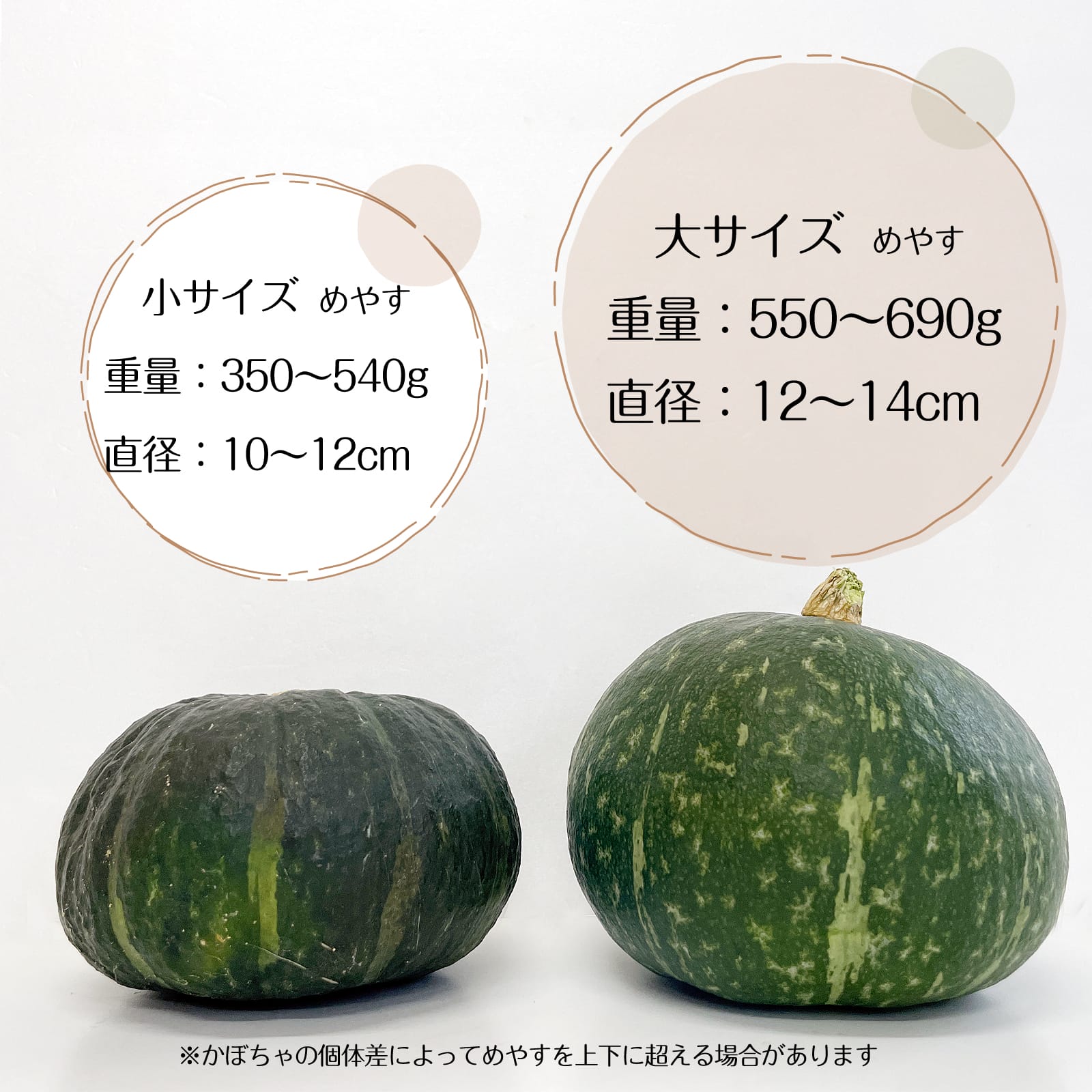 わらいみらい ハロウィン まるごと かぼちゃ プリン 坊ちゃんかぼちゃ