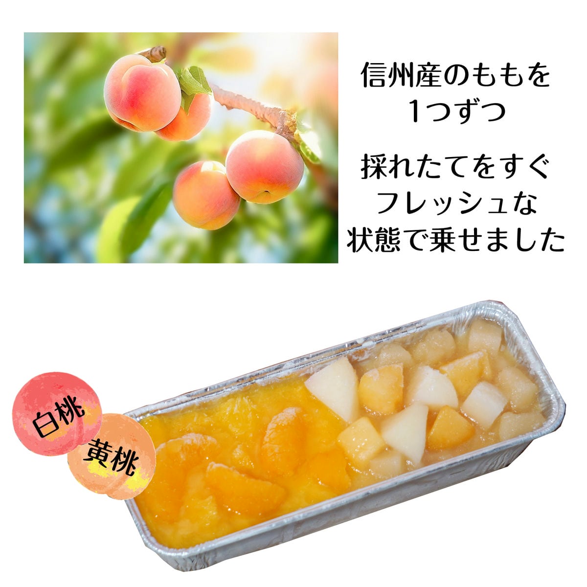 カタラーナ