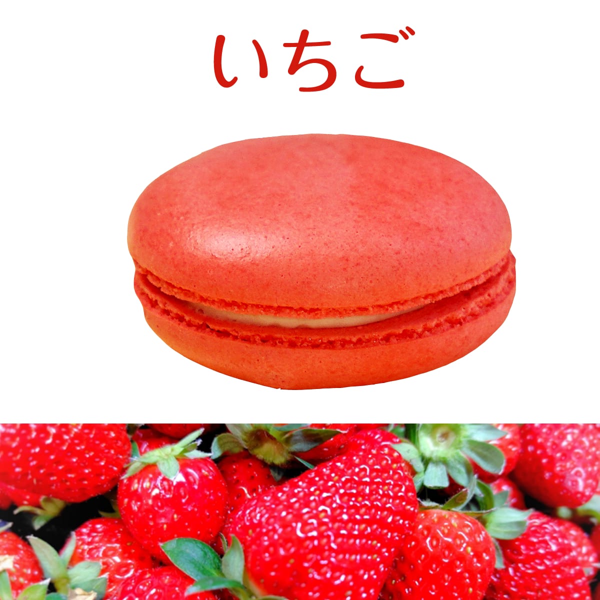 マカロン