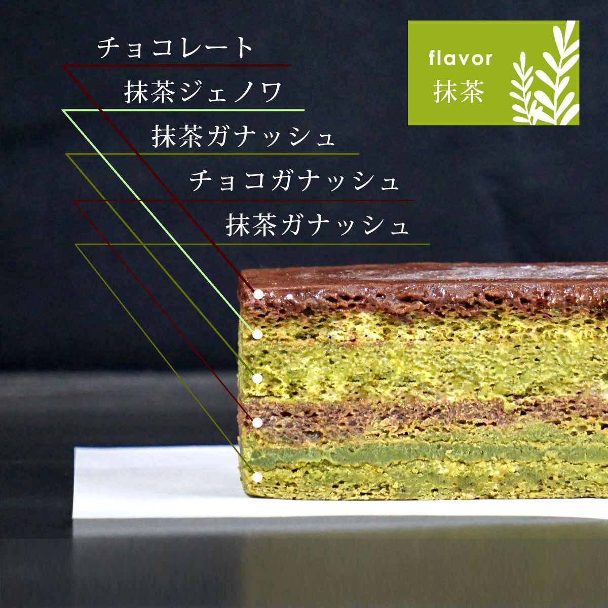 抹茶 オペラ