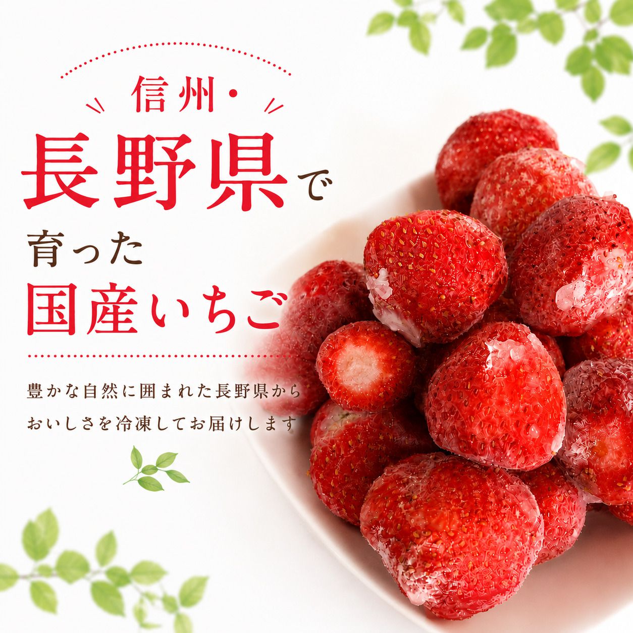 苺 わらいみらい フルーツ いちご 300g 600g 冷凍 国産 長野県 たっぷり