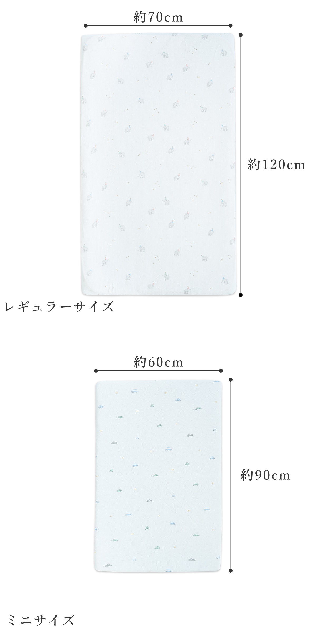サイズ