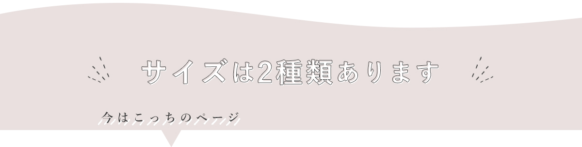 今はミニサイズ