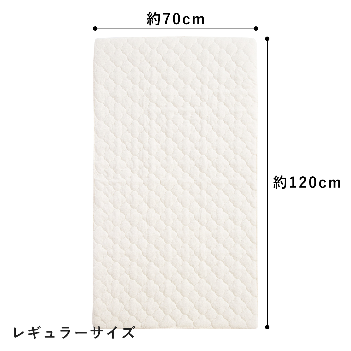 レギュラーサイズ