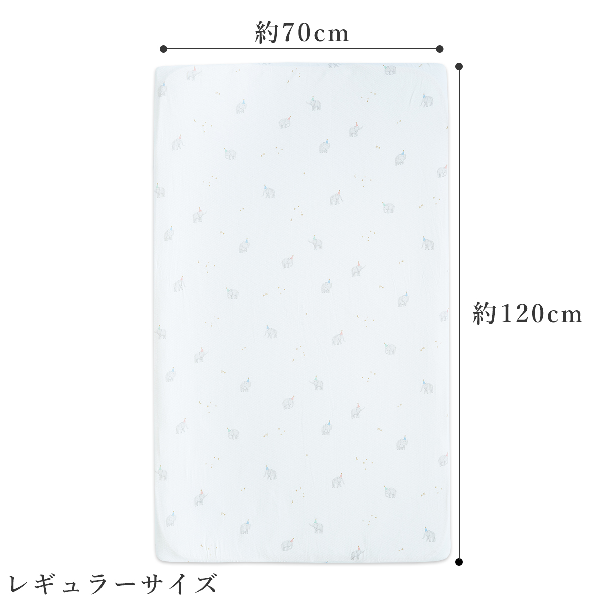 レギュラーサイズ