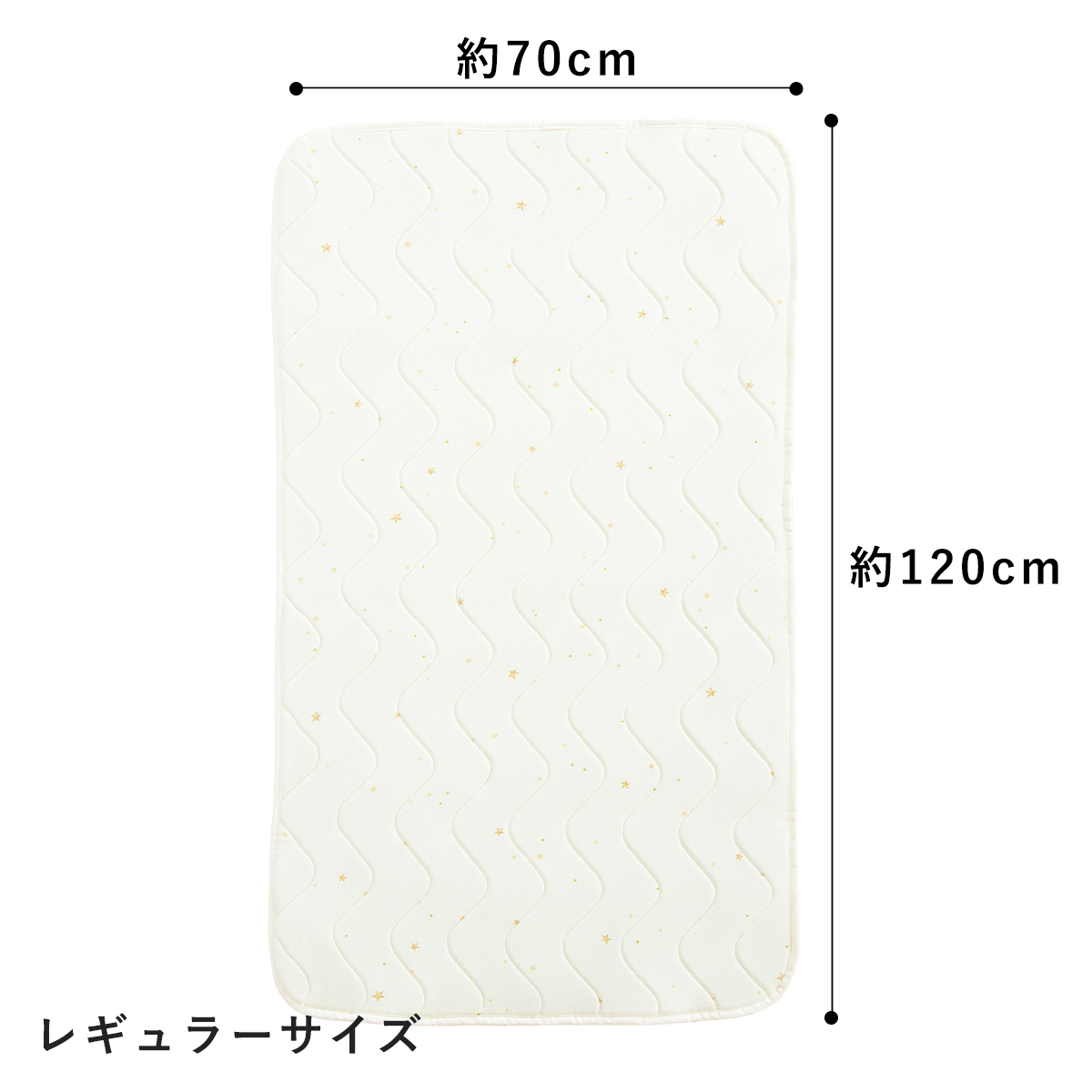 レギュラーサイズ