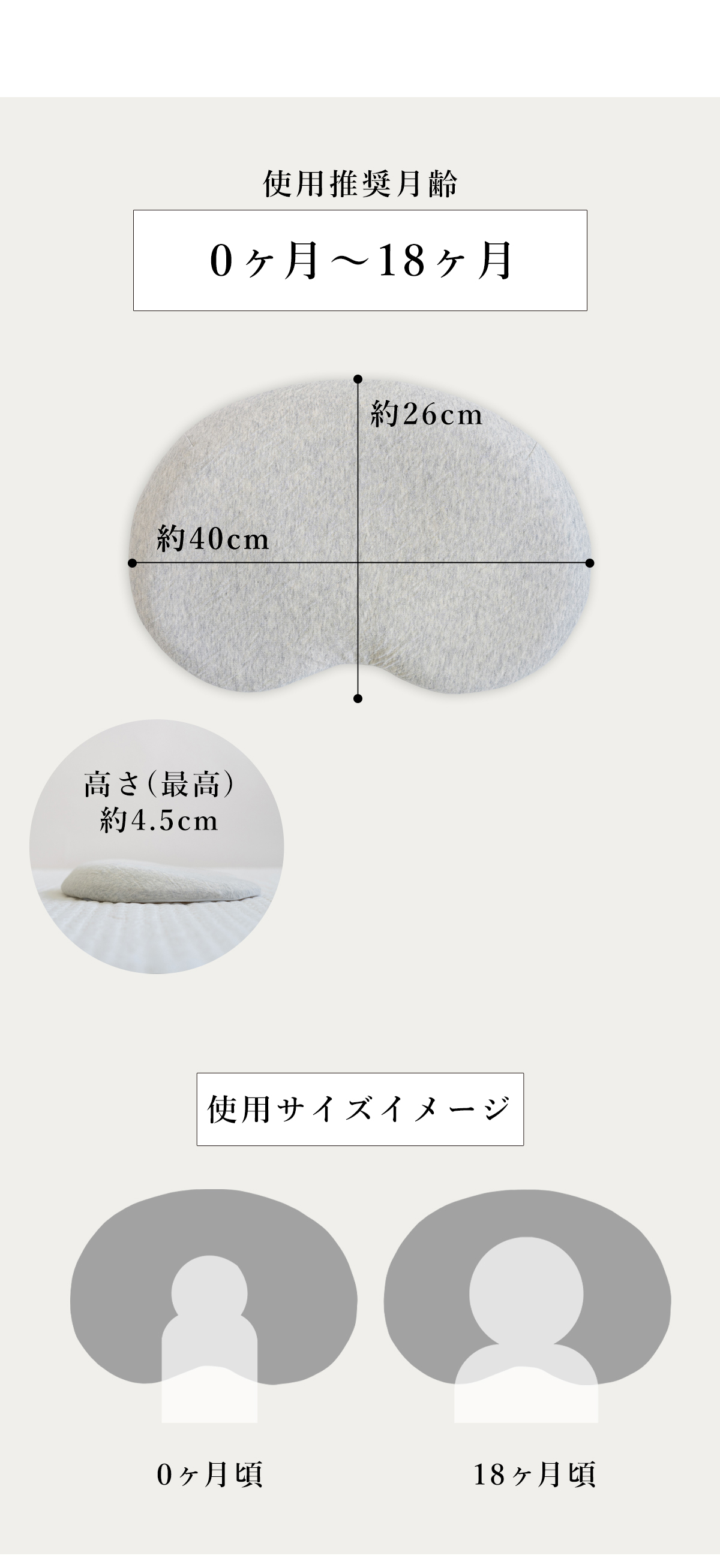 サイズ