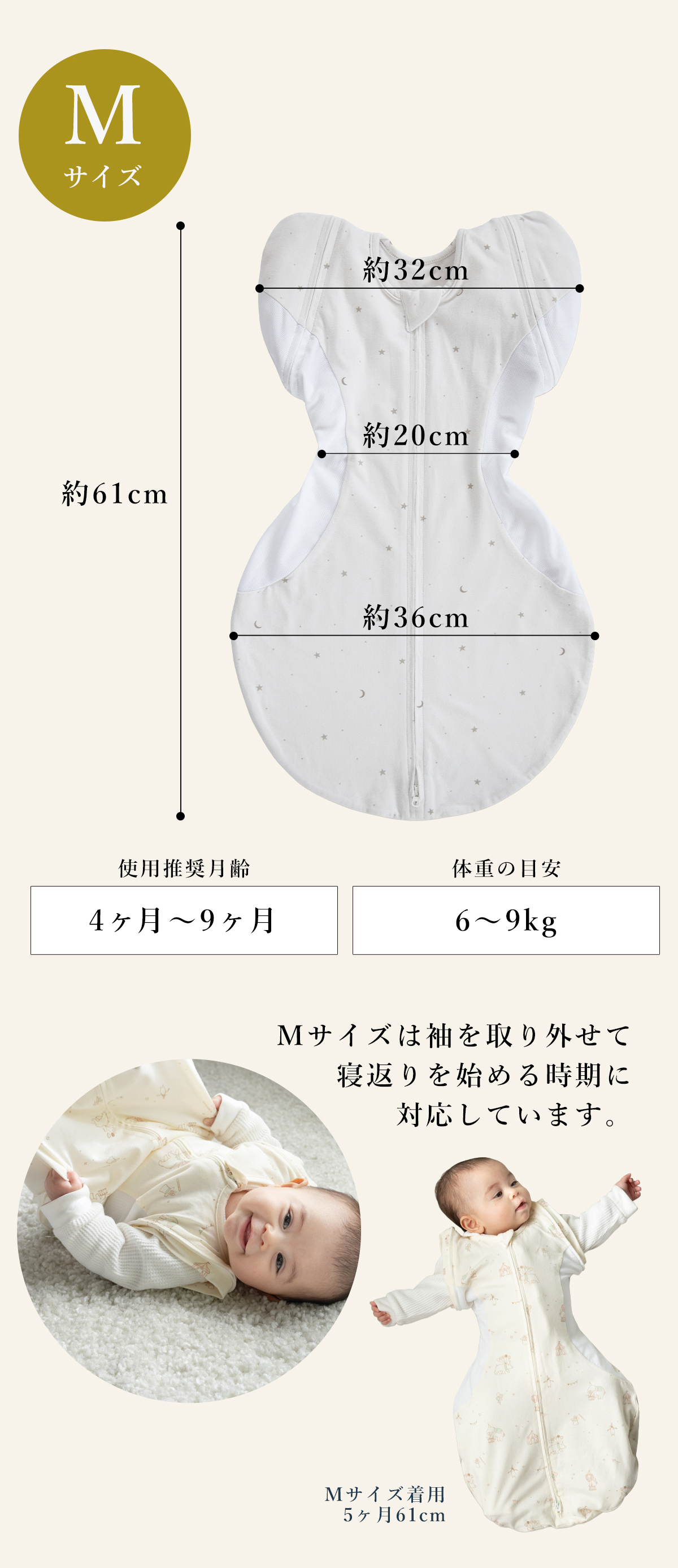 サイズ