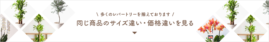 おなじ商品のサイズ違い・価格違いを見る