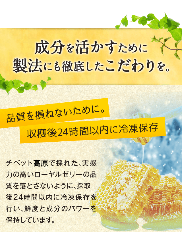 ローヤルゼリー プロポリス サプリメント ミツバチの恵み とろり（栄養機能食品）／定期便価格