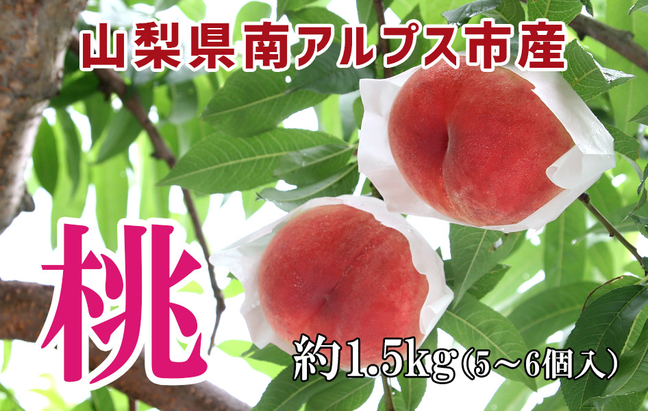 山梨県南アルプス市産　高級桃