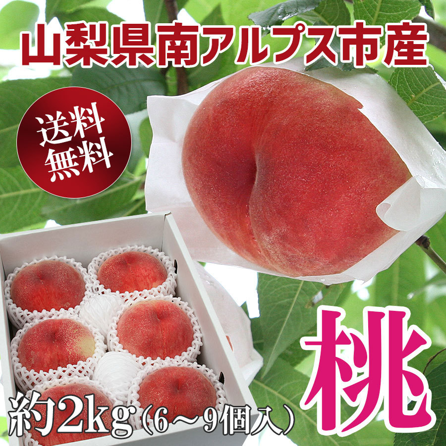 桃 果物 山梨県 2ケース まさ 2026年先行予約】山梨の朝どれ桃2kg 大玉5玉～7玉 もも 山梨県産