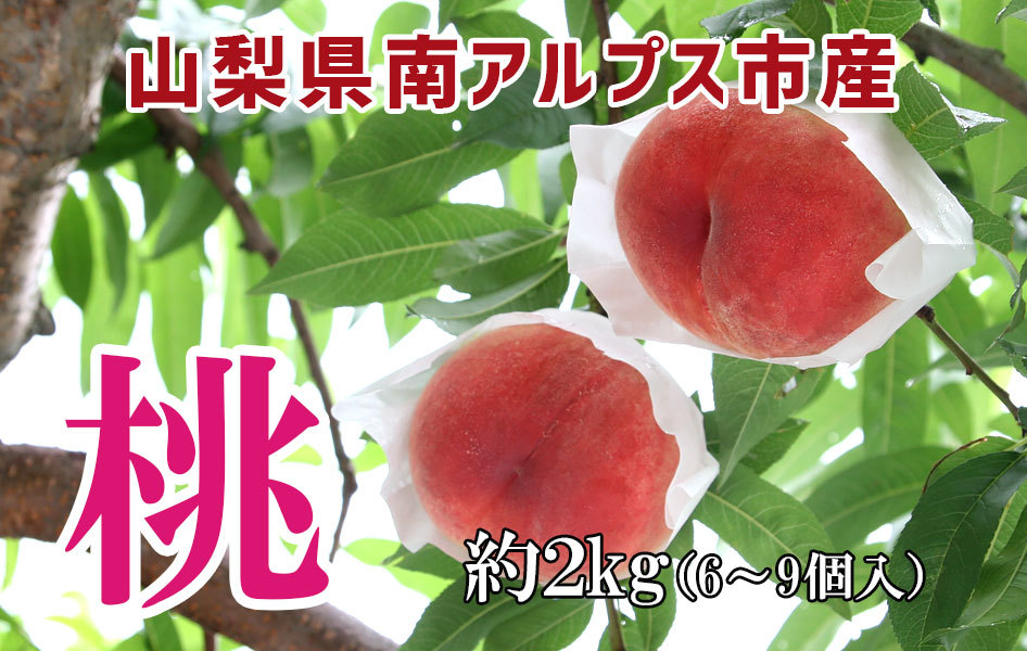 山梨県南アルプス市産　高級桃