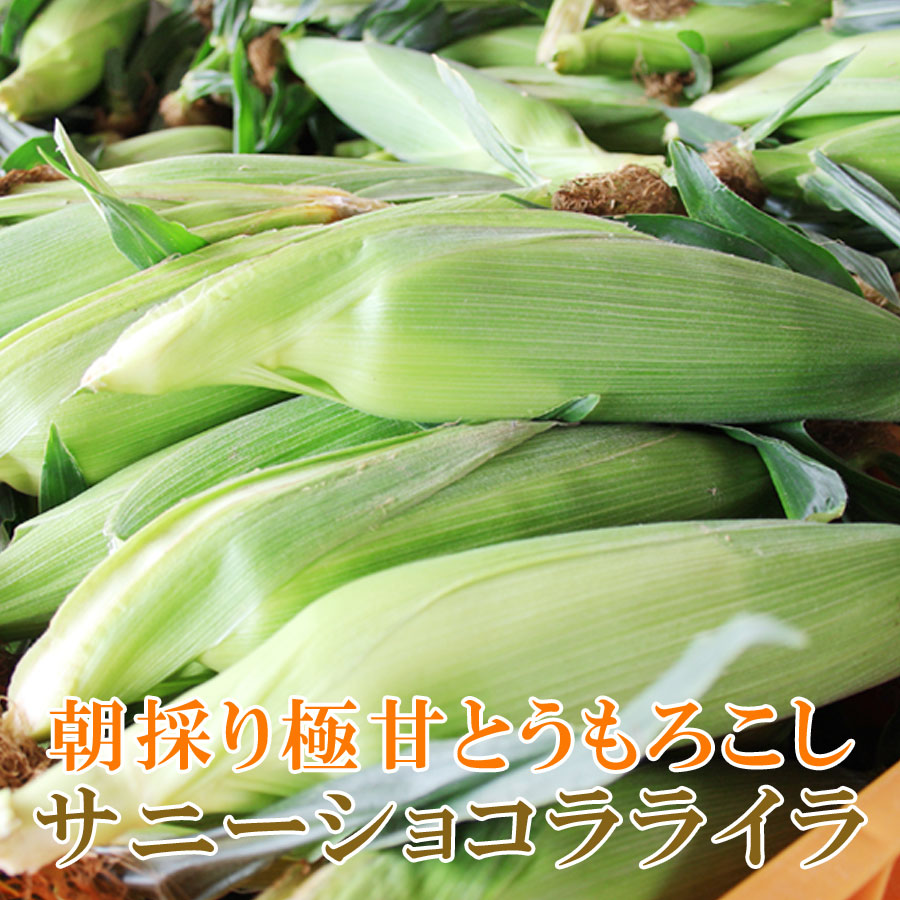 徳島県産朝ドリとうもろこしサニーショコラライラ予約ページ サニーショコラ ライラ | Vilmorin Mikado Japan