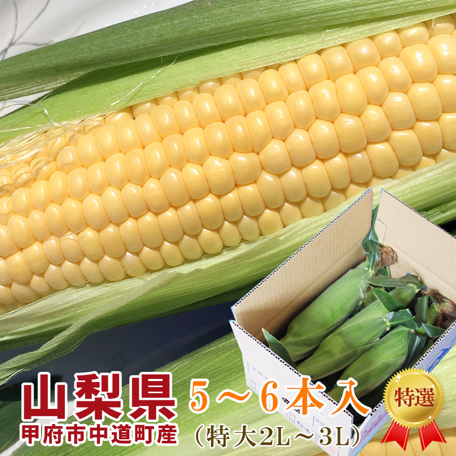 山梨県甲府市中道町産