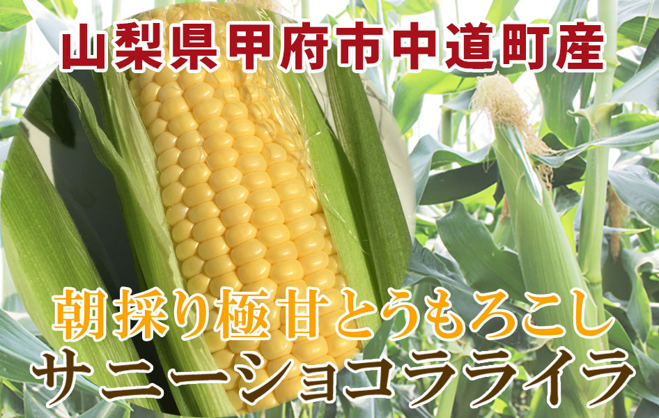 山梨県甲府市中道町産　フルーツコーン とうもろこし サニーショコラライラ