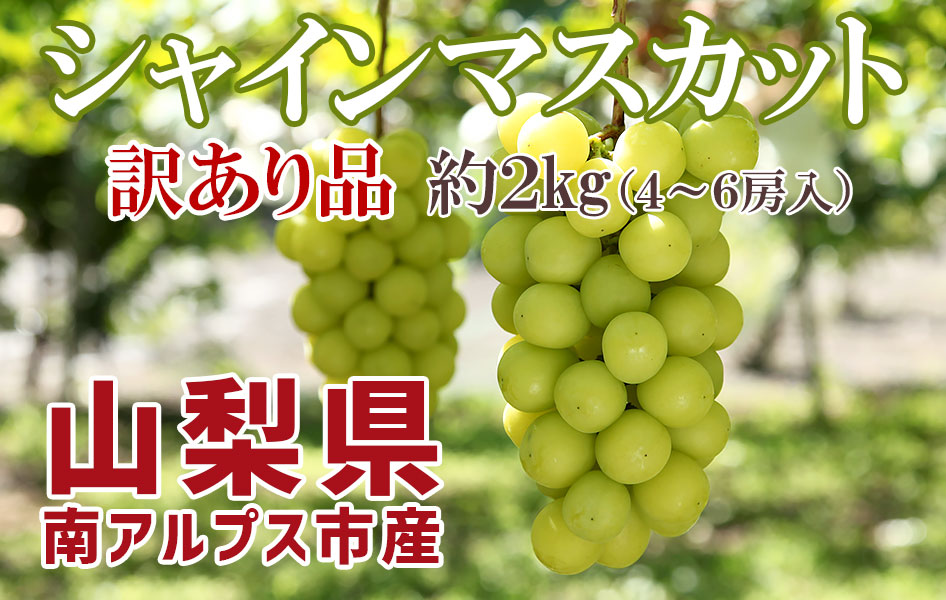 シャインマスカット 山梨県産 訳あり品 ご家庭用 約2kg 4〜6房入 南アルプス市産 高級ぶどう 種無し