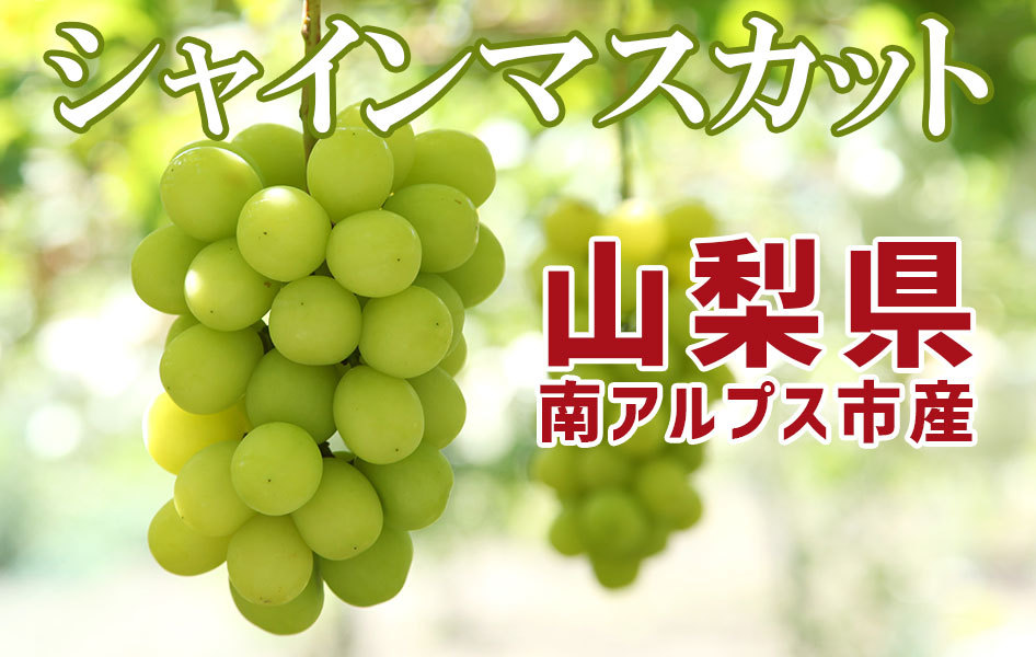 山梨県南アルプス市産　シャインマスカット