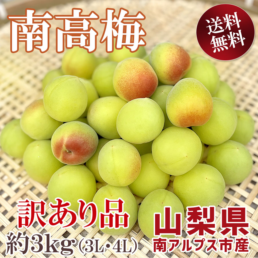 山梨県南アルプス市産　南高梅