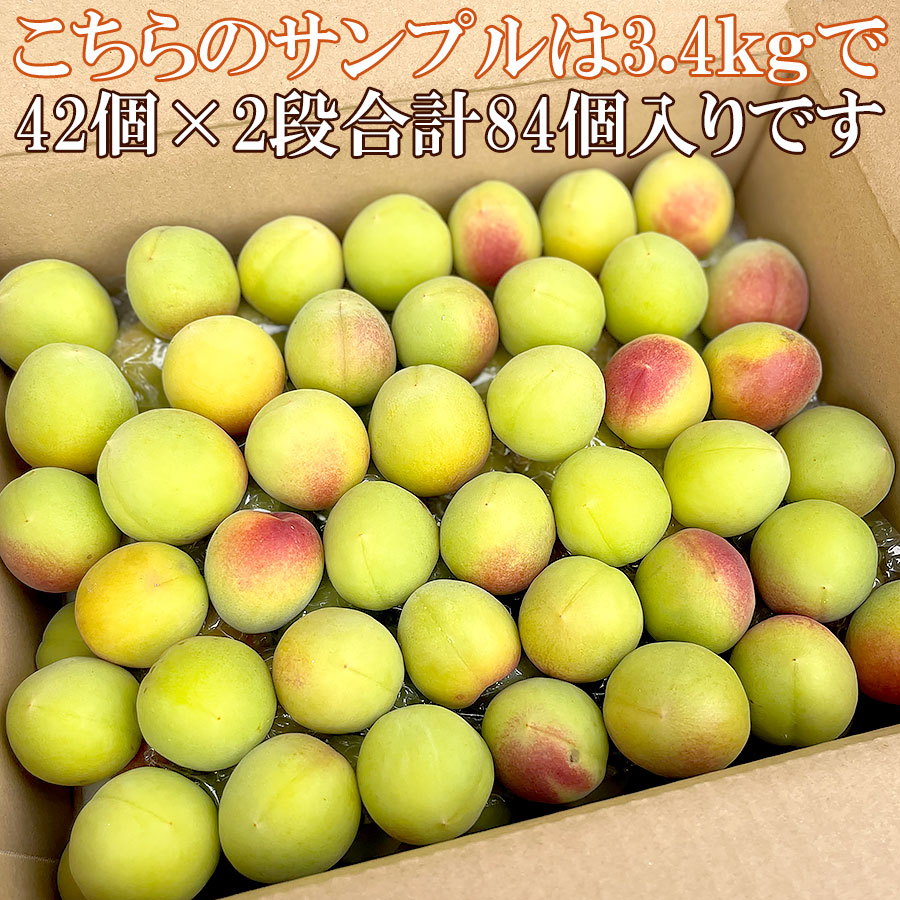 山梨県南アルプス市産　南高梅