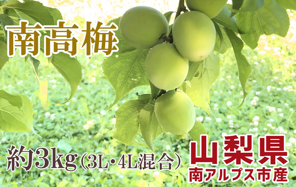 山梨県南アルプス市産　南高梅